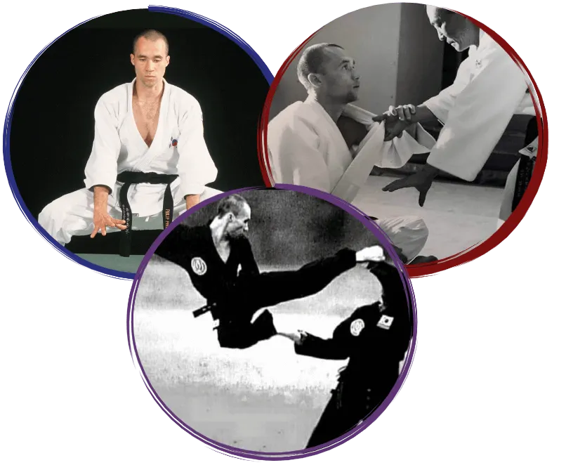 Philippe Pinerd & the hapkido